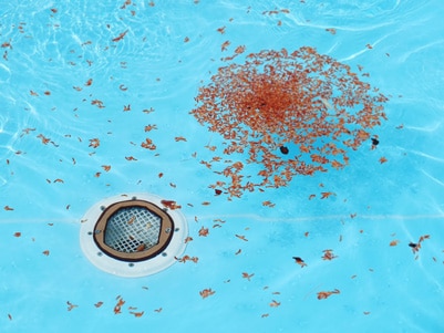Pool cleaning equipment skimming debris